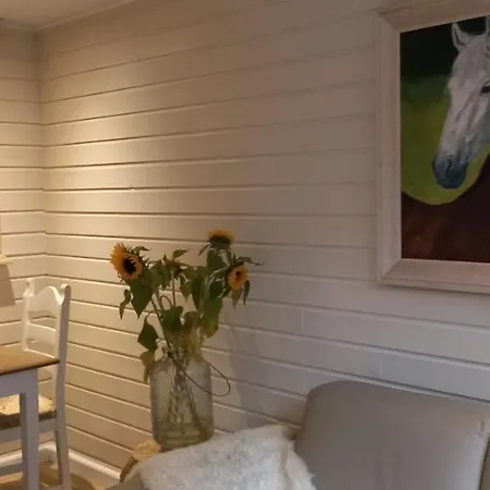 Le Papillon Apartment Zandvoort